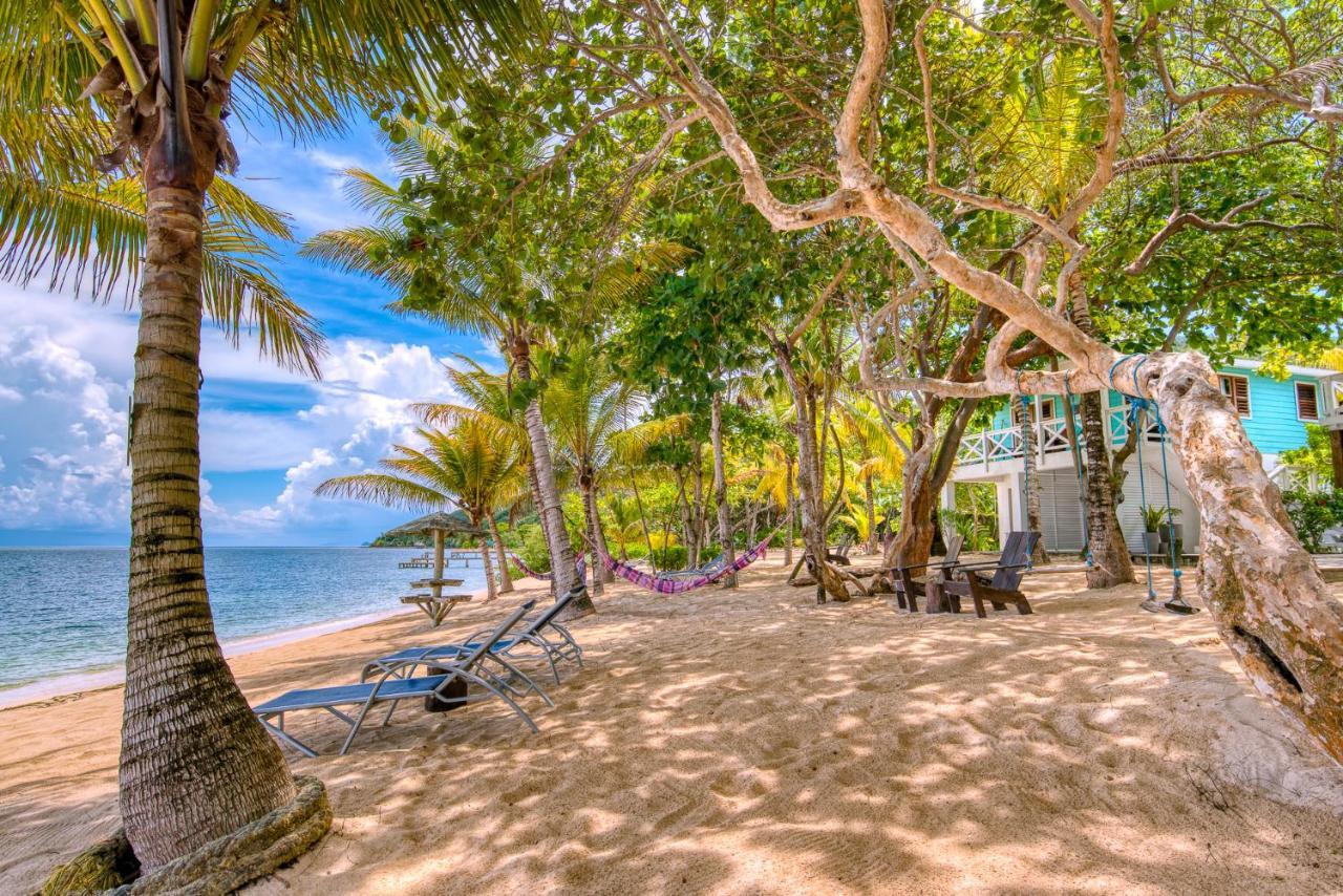 Camp Bay Lodge ภายนอก รูปภาพ