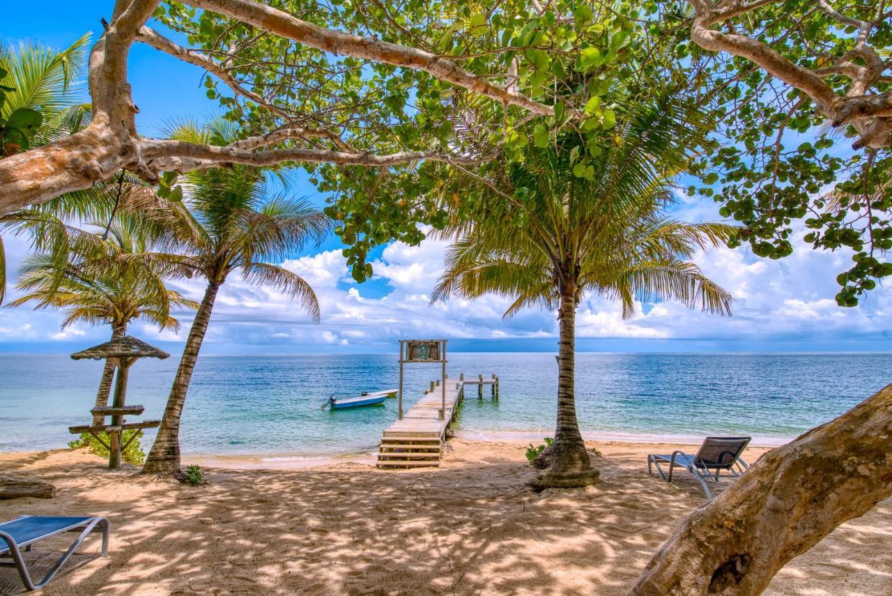 Camp Bay Lodge ภายนอก รูปภาพ